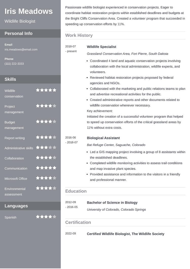 resume example made with ResumeLab builder