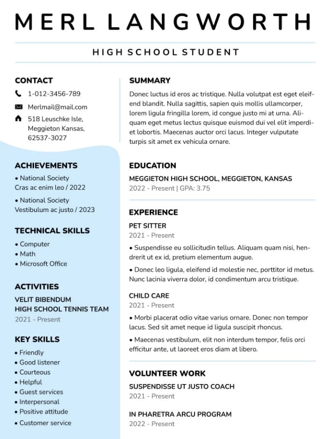 University Student Google Docs Resume Template