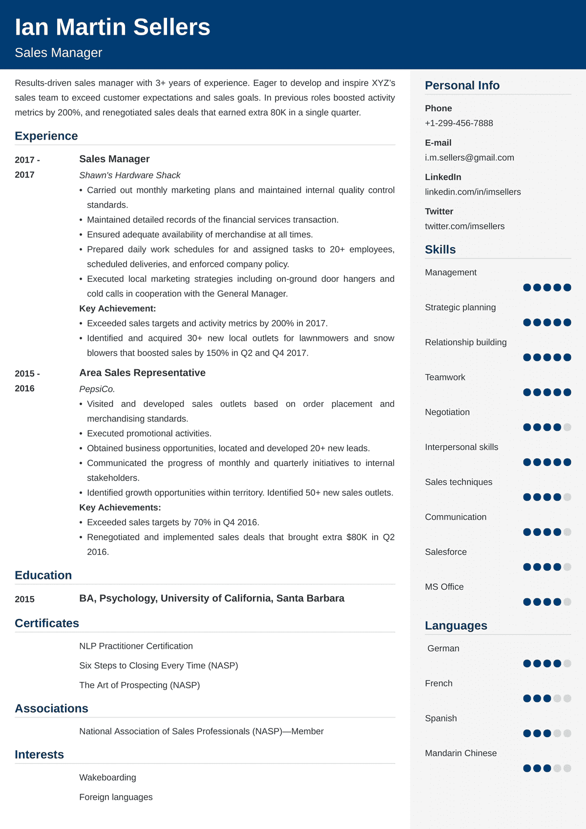 sales manager resume examples