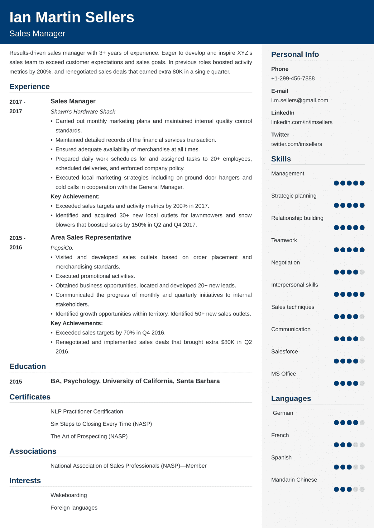 sales manager cv example