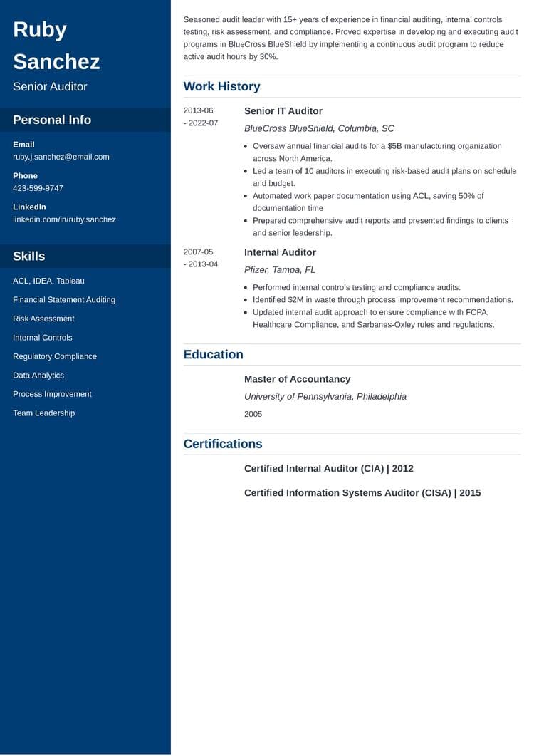 Senior auditor resume example