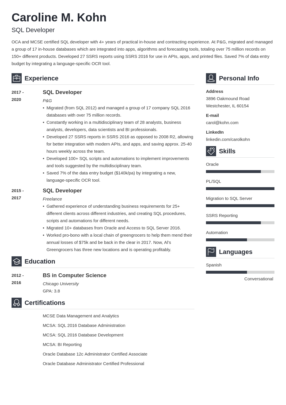 sql developer template vibes