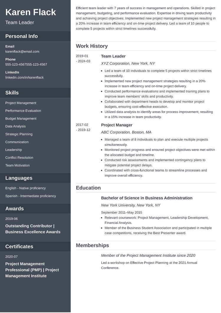 Team Leader Resume Example