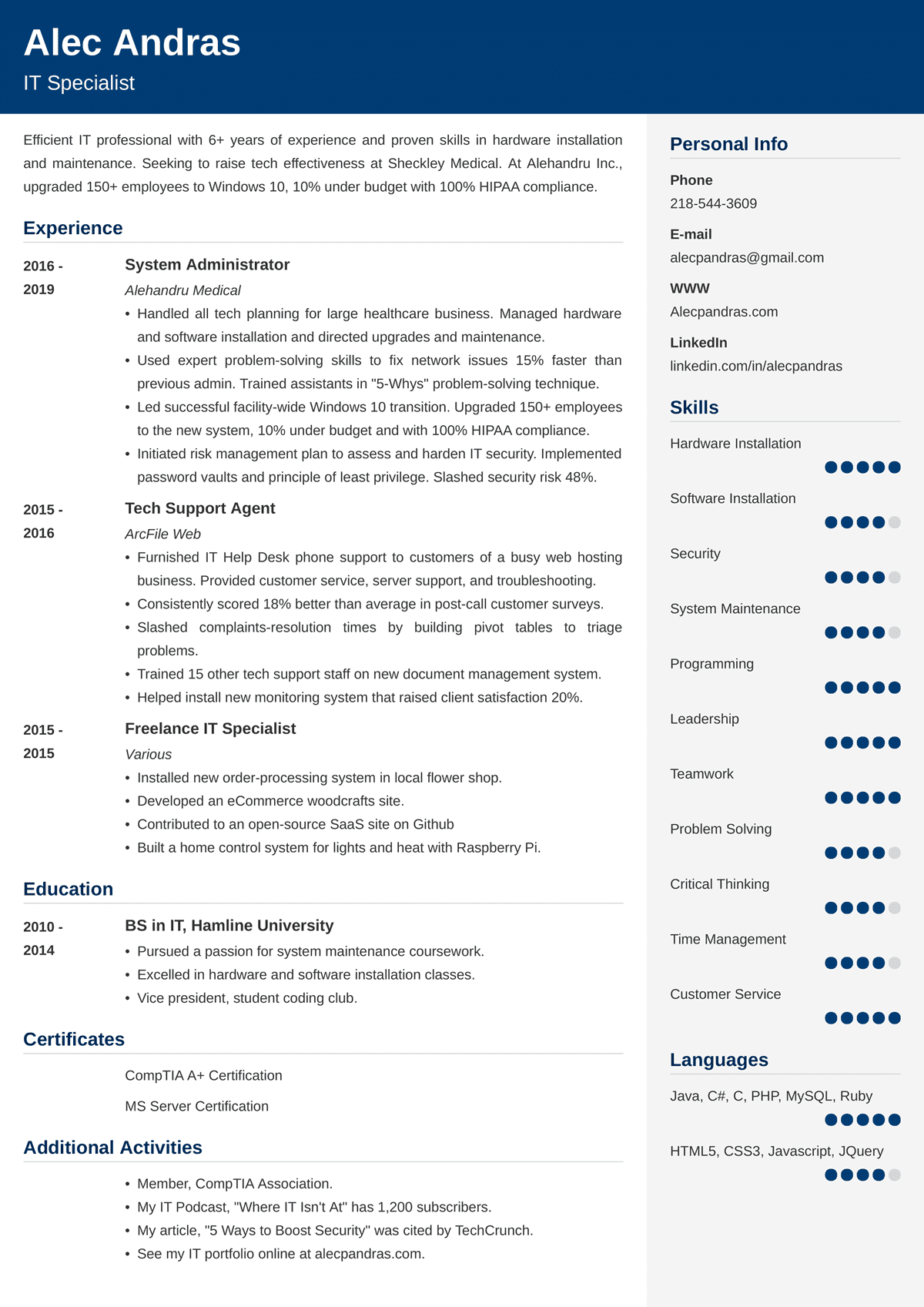 resume samples for experienced it professionals
