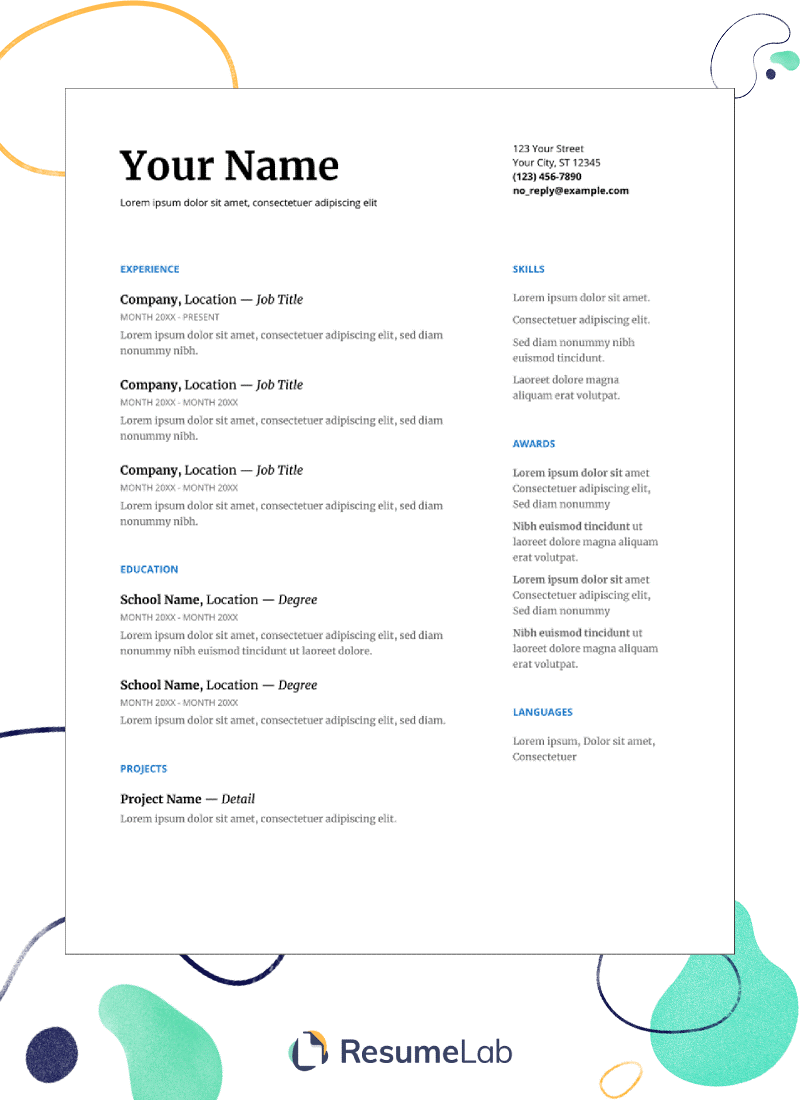 Professional Resume Template Google Docs