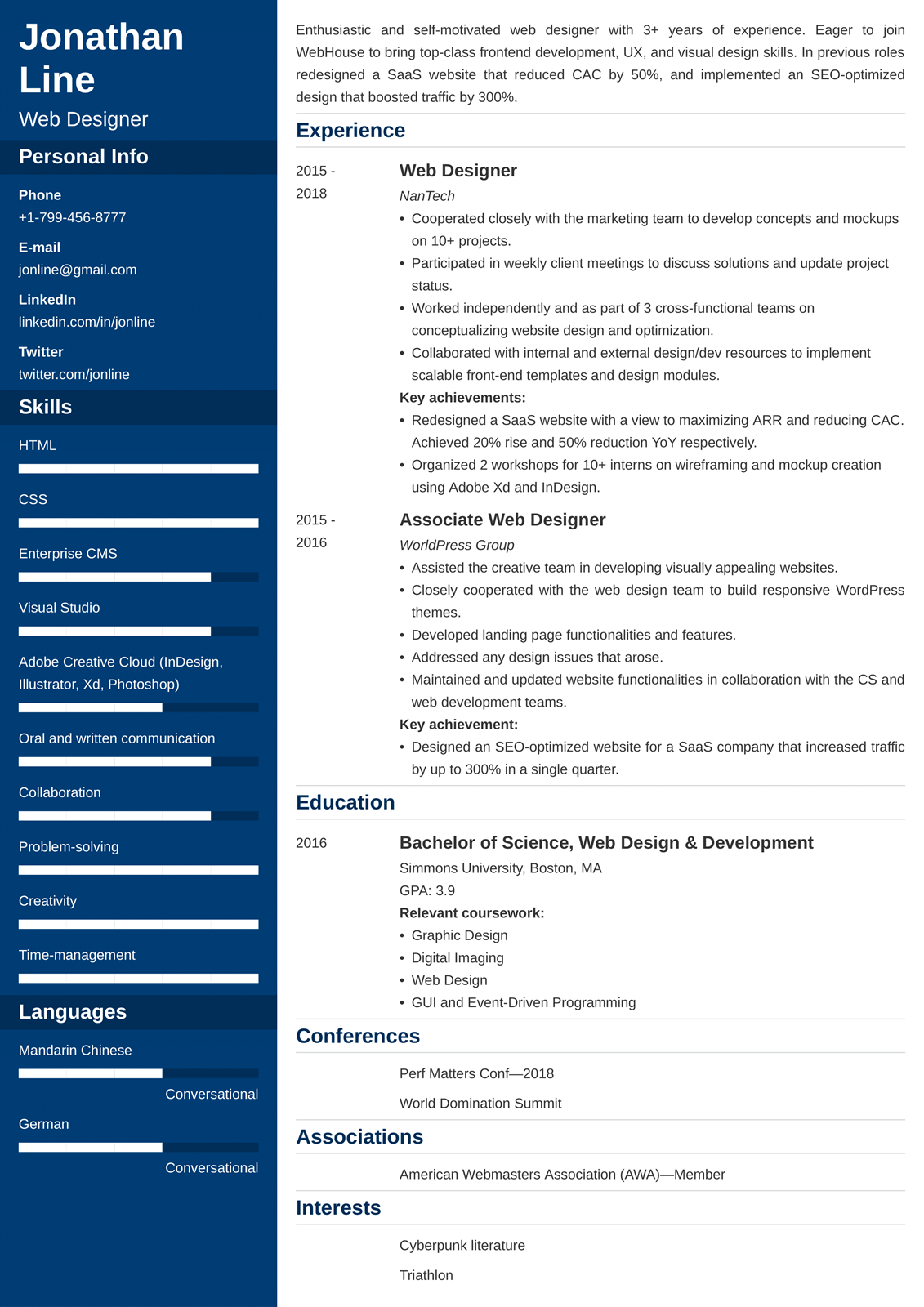 Professional Web Designer CV Example Free Template Tips 